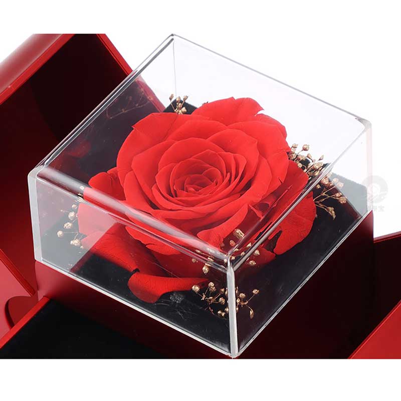 Forever Rose - Hartdoos ketting